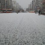 170115_1010~01.jpg
