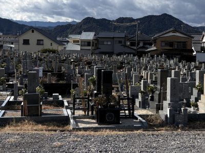 紀伊半島方面出張にて