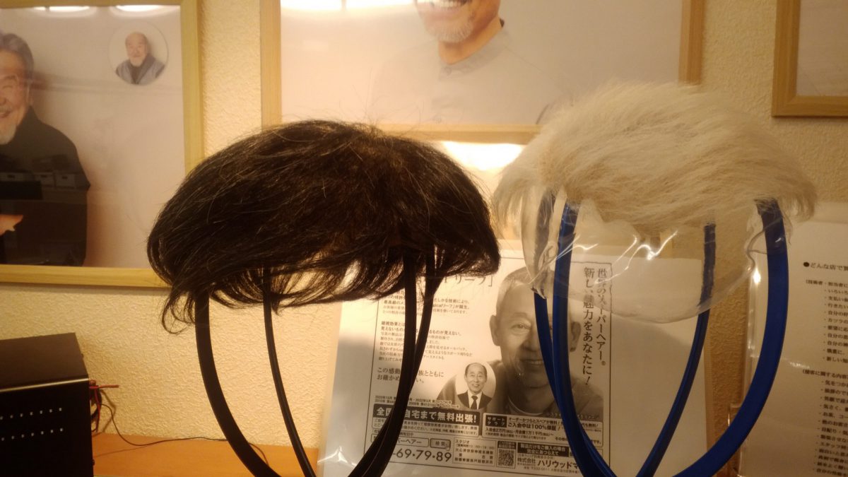 ウィッグ種類