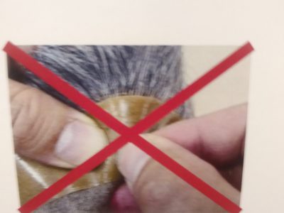 使用上の注意⚠️