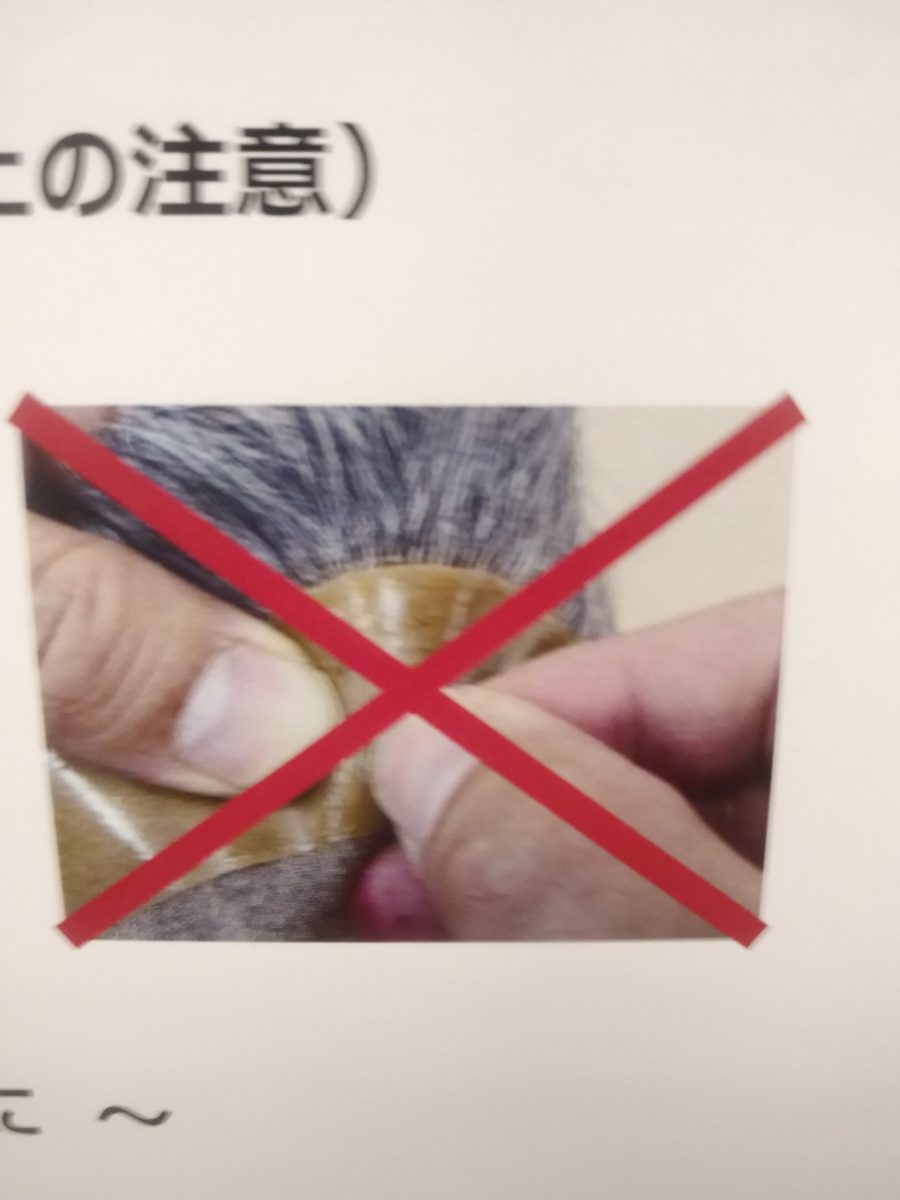 使用上の注意⚠️