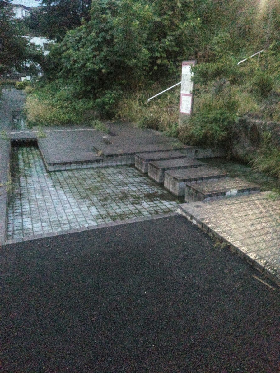 お散歩