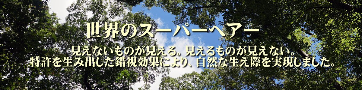 生え際を完全に見せるオールバックから、髪をかき上げるロングヘアーまで、どのようなご要望にもお応えします。