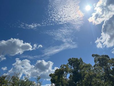 晴天ですが！！！