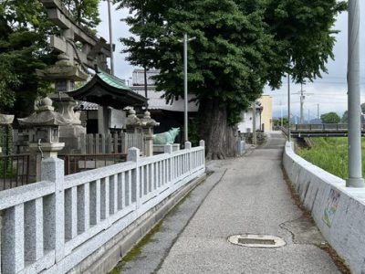 樹齢800年！！