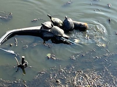 意外や意外！！